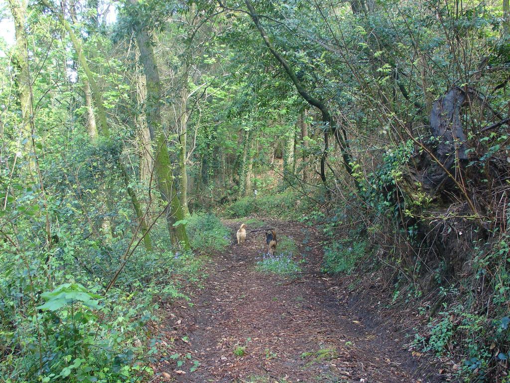 Quinta De Pindela - Natureza E Tradicao Vila Nova de Famalicão Extérieur photo