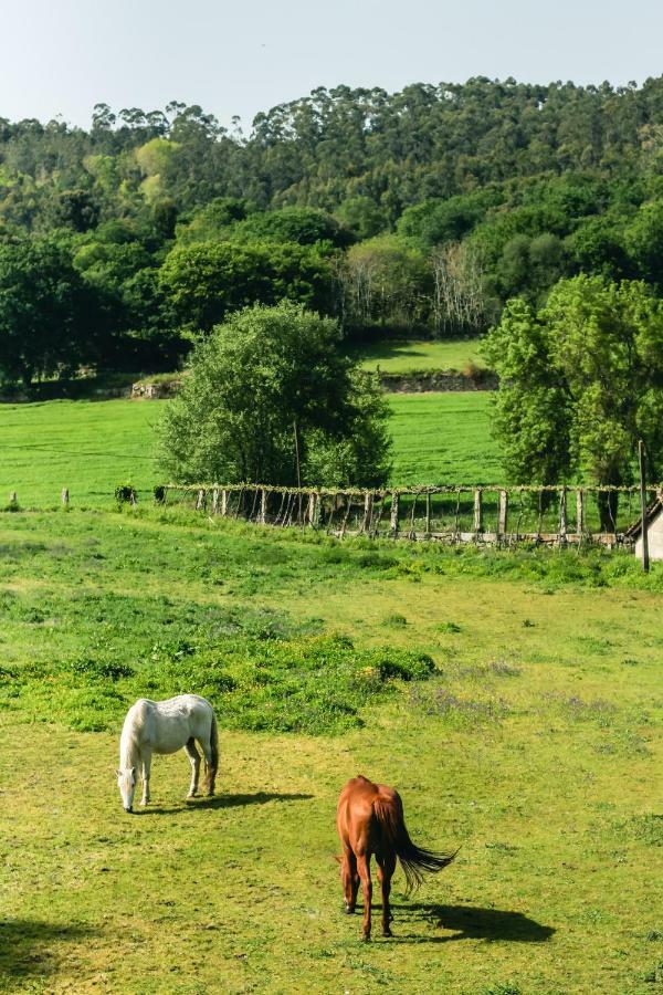 Quinta De Pindela - Natureza E Tradicao Vila Nova de Famalicão Extérieur photo