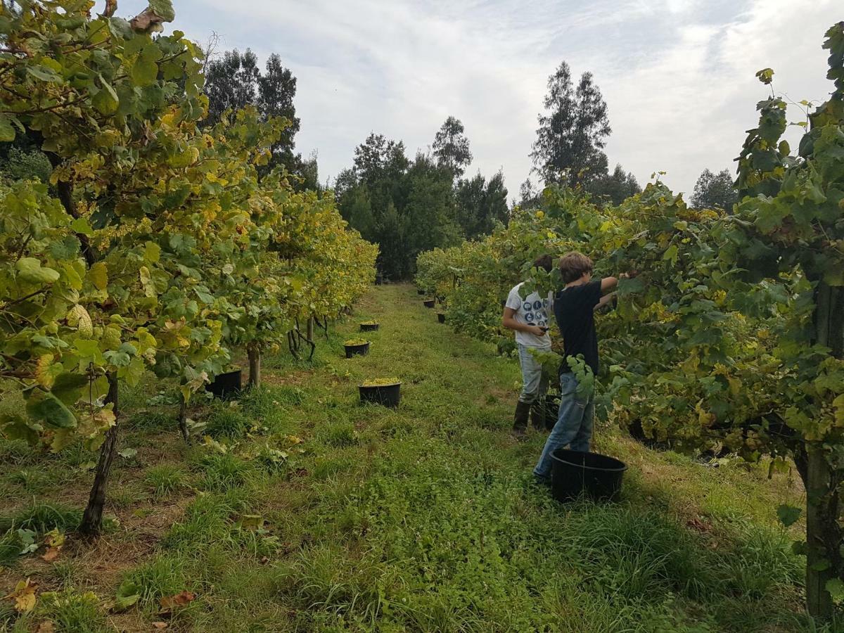 Quinta De Pindela - Natureza E Tradicao Vila Nova de Famalicão Extérieur photo